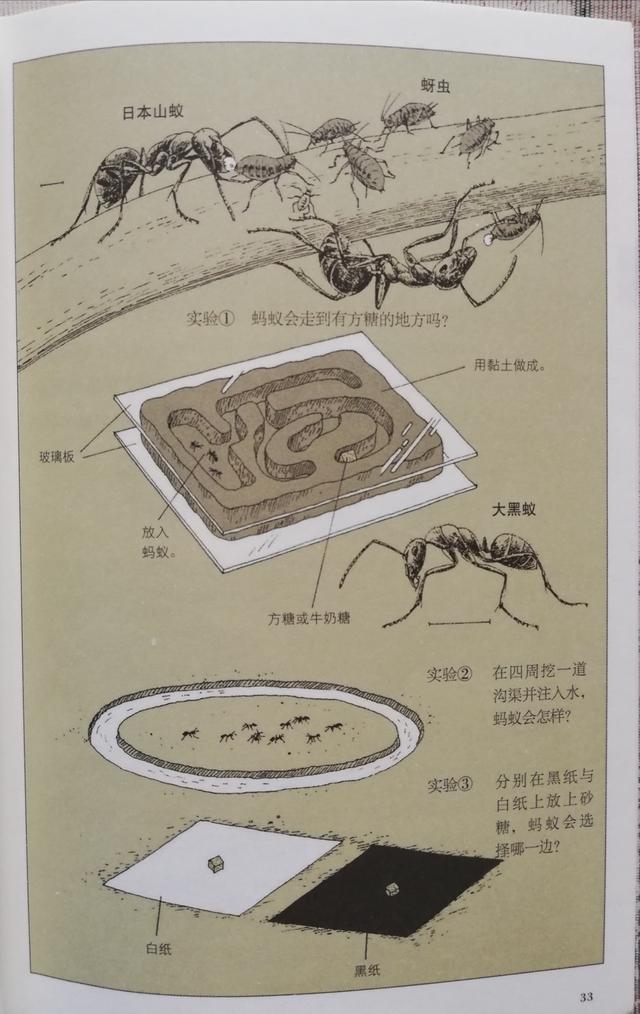 超级宝妈@开启孩子丰富的感官，捕捉世间无处不在的趣味