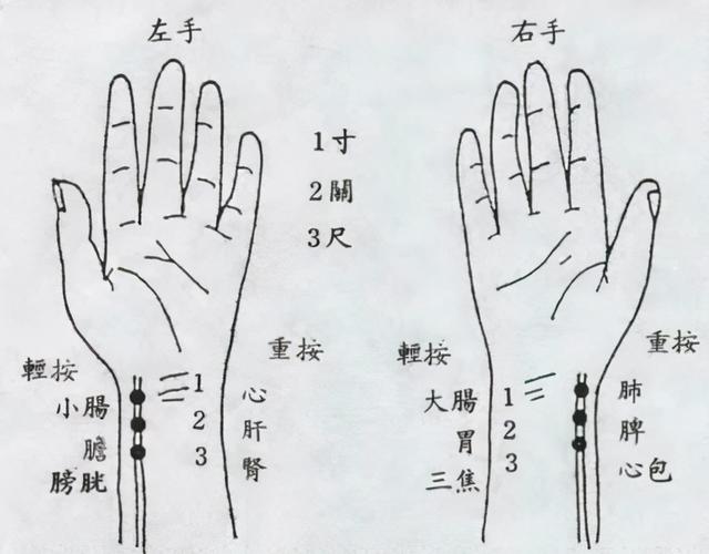 手把手教你把脉！掌握3个切脉要点，你也能快速学会诊脉