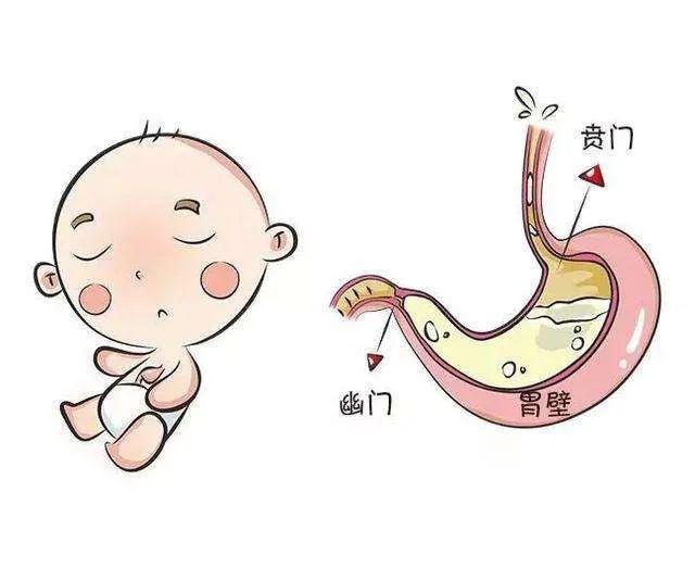 盈袖兰香|吐奶还是病理性呕吐,家长要学会怎么甄别