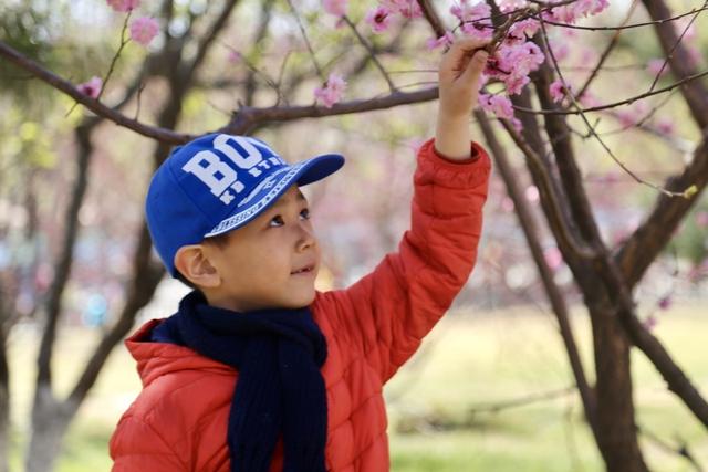 「你的育儿经」孩子早长和晚长差的不只是个头，更重要的被忽略了