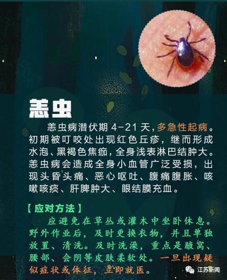 咬伤|被它咬了一口，女子窒息身亡！医生：第一时间应这样做