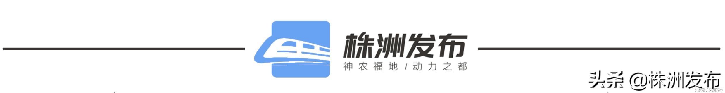 【你的育儿经】今年株洲将建成一批示范性婴幼儿照护服务机构，3岁以下婴幼儿也能送“园”