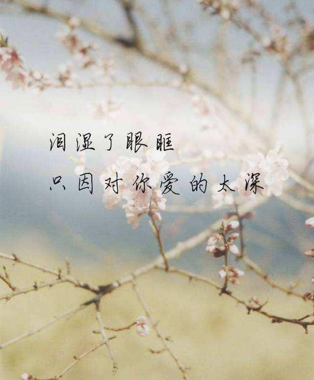 蝶恋花，永相随