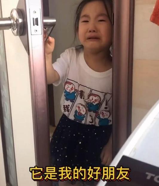 超级宝妈@宝妈把孩子养的鱼炖了，5岁女儿忍不住悲伤大哭，含泪吃掉两碗饭