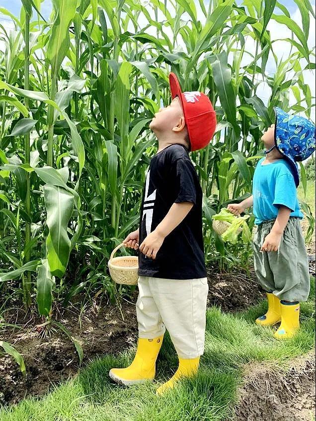 「上观新闻」华东师范大学知序实验幼儿园招生啦！面向全区，托班、小班、中班皆能报名