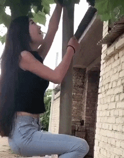 搞笑gif:姑娘,你妈喊你回家穿秋裤呢