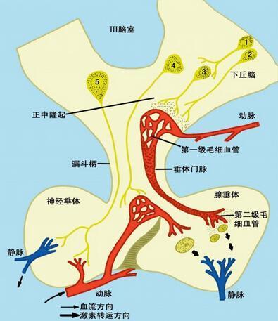 遗尿症！一个家长操碎心，孩子羞于启齿的小秘密