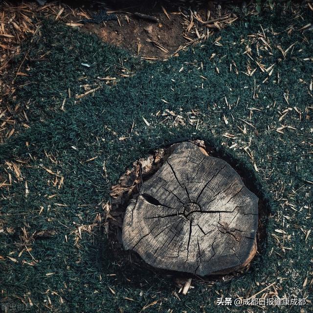 患者|打一针管三个月，精神分裂症患者终于不用每天服药了