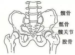 这些疾病会让你的“胯骨痛”