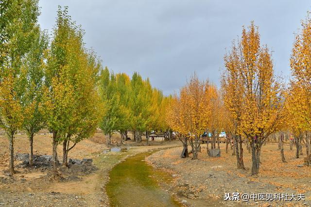 肾虚表现各不同，如何正确判断你是哪种肾虚？