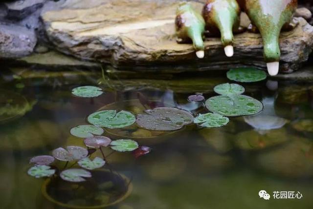 圆一个心中的花园梦……