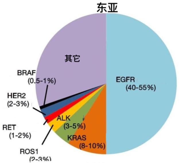 肺癌|基因检测，早期肺癌患者要不要做？