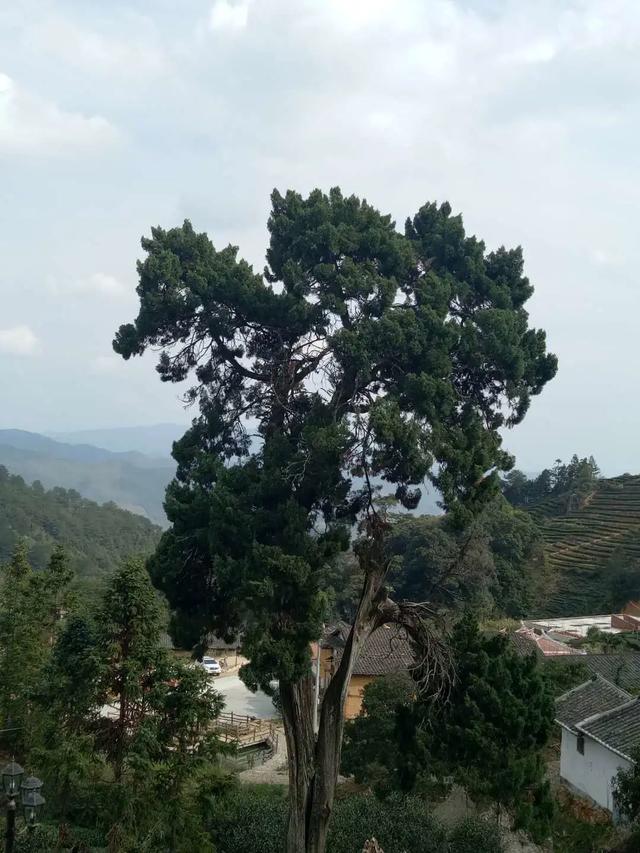 【超级宝妈】别样过假期，携手共育促成长——家乡篇