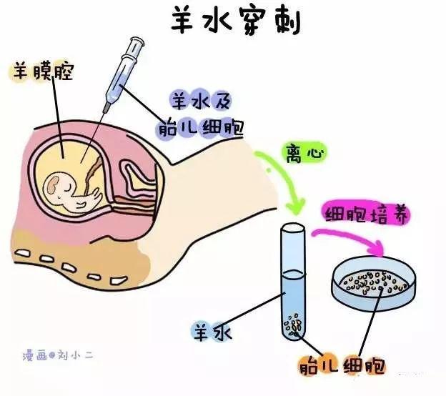 你的育儿经|孕育新生命那些默默奉献的无私“小伙伴”