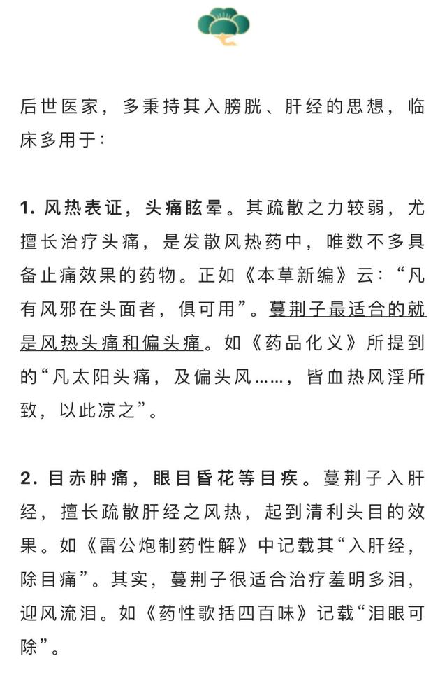 蔓荆子|玩手机到头晕眼花？快来试试清利头目的它