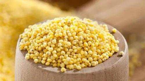 来自陕北的黄米年糕，吃出来的软糯儿，枣香浓郁！煎炸蒸皆可