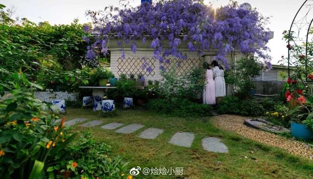 大咖分享 | 蓝色花境植物有那些？