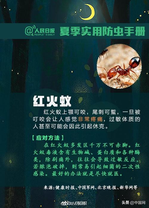 女士|3岁女儿脸上有飞虫，妈妈本能地一拍！第二天孩子的脸又肿又红