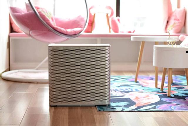 造型升级，小米空净玩出新高度，米粉：贴心