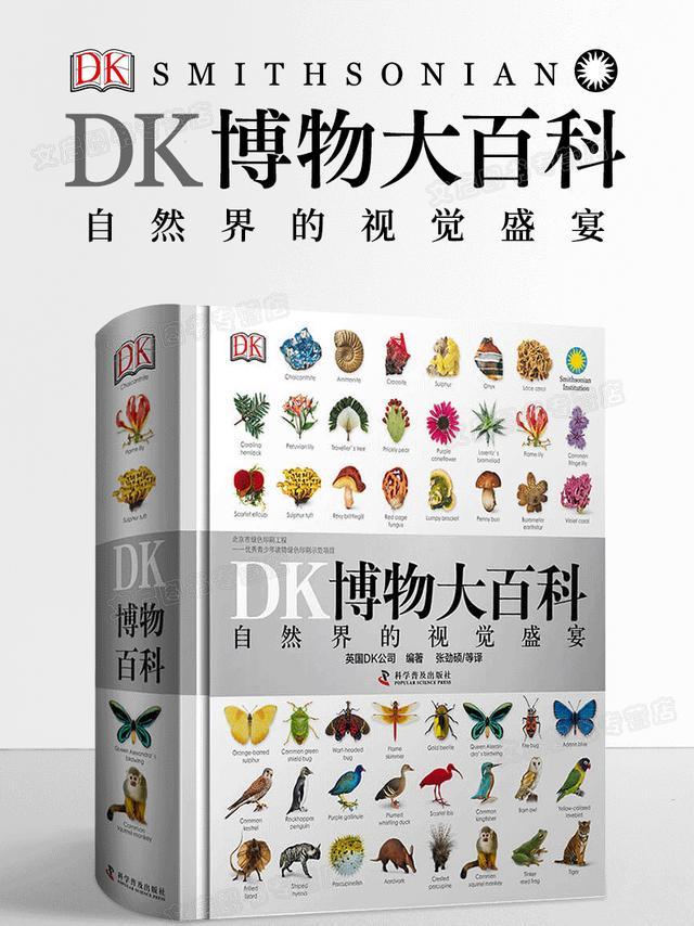 [你的育儿经]美国心理学家研究：高智商儿童的共同点在于创造力，而不是靠遗传