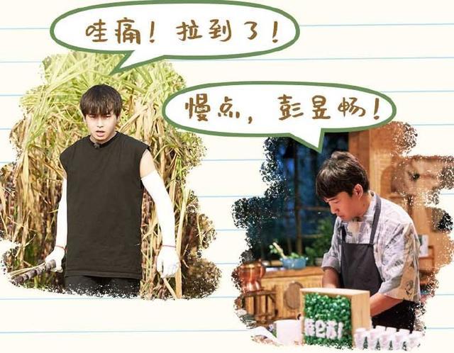 《向往4》黄小厨美食诱人大家就着锅吃,张子枫洗碗透露出小细节开心的笨小孩