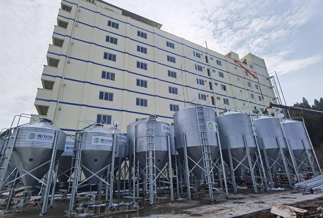 产业|四川遂宁：数字化赋能的种猪场 有“千里眼”和“顺风耳”丨数字天府·市州力量