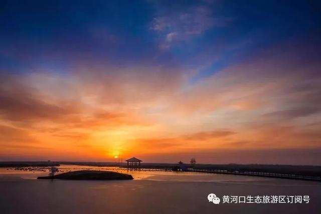 「趣旅游」每日一景 |春的律动