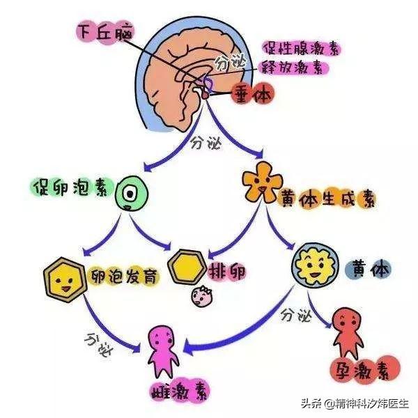 闭经、溢乳！医生带你了解：部分抗精神病药物导致的高催乳素血症