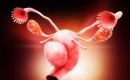 下腹部|一家4人确诊同一种癌症！很多人发现即晚期，只因……