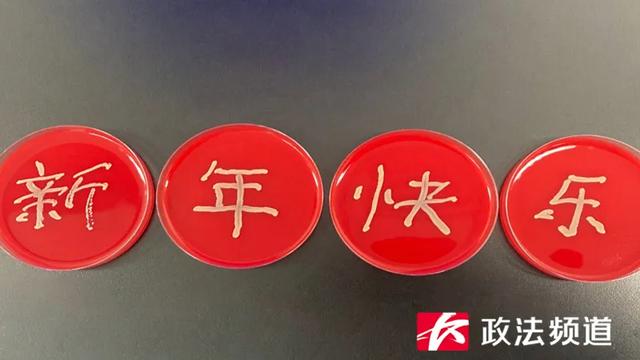 医生|脑洞大开！用细菌作画你见过吗？长沙90后