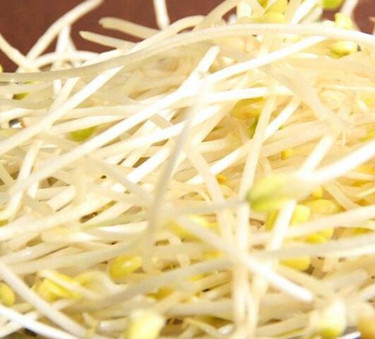 春笋|春笋被誉为春天的“菜王”，健脾补气，化痰止咳