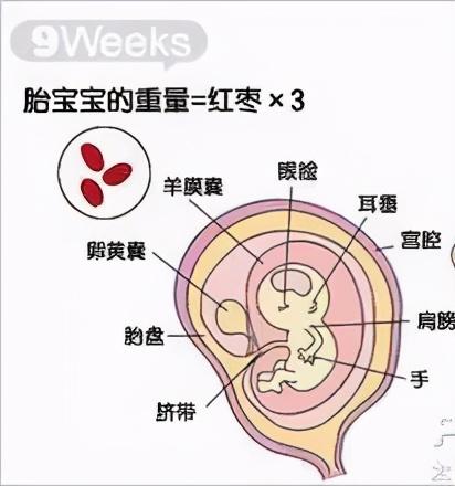 试管「毕业超」，究竟是啥意思？