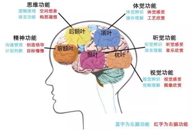 高血压|多数孩子脑出血都发生在打篮球时候，这种运动很危险?