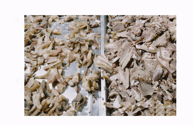 在四川没有一只羊活得过冬至