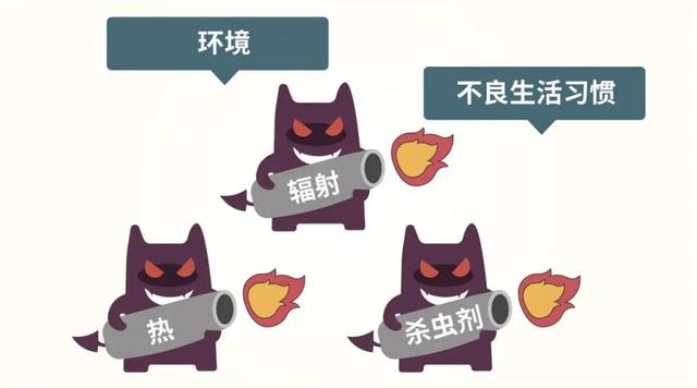 【你的育儿经】迎娶卵子小姐姐，精子小哥需要奋斗90天