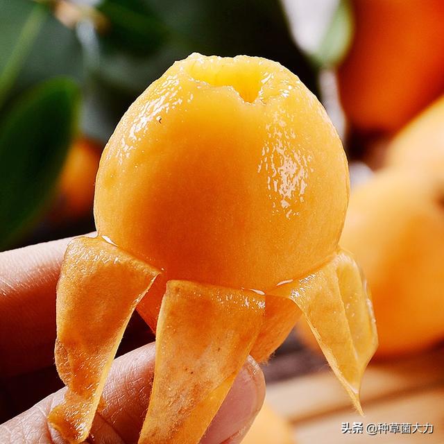 #你的育儿经#忽冷忽热的春天，多给孩子吃这四种水果，增强抵抗力又防“春燥”