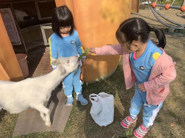 『超级宝妈』杭州一家幼儿园里的“萌宠”难产去世，瞒着小朋友？再找一只？还是说实情？老师纠结了……