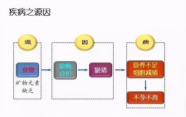 找到自愈癌症的神秘钥匙：他治愈了20多个癌症案例