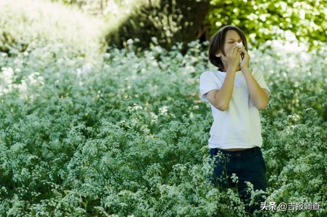 过敏|喷嚏、鼻涕、咳嗽？你可能过敏了！长春市两所医院专家为你出谋划策