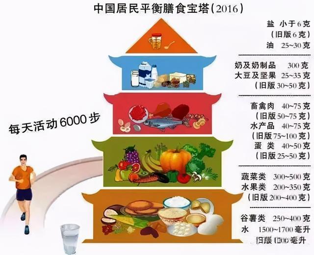 增强免疫力，易胖体质给我滚