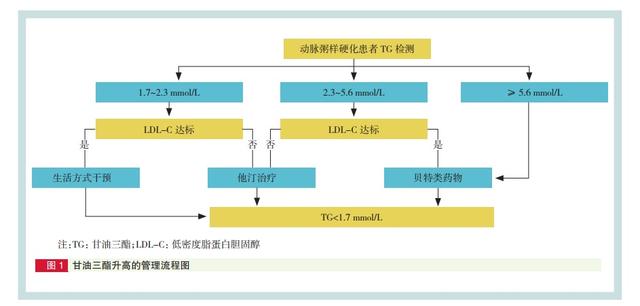 甘油三酯升高会堵住血管，做好这几点，血脂可以安全降低