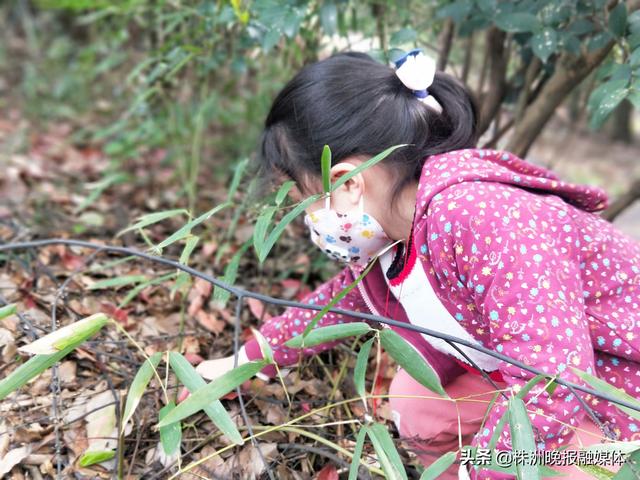 超级宝妈：加强劳动教育，看看这些家长怎样做