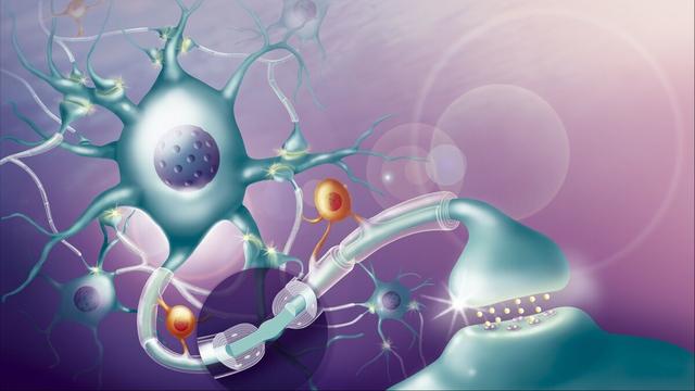 《园丁与木匠》：“教养，是一项很糟糕的发明”