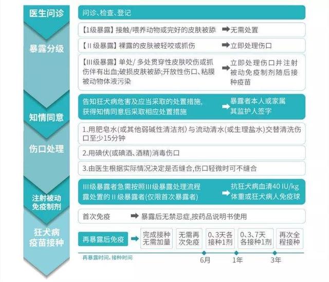 成人也要打疫苗！9 种你可能漏打的疫苗，该打的绝不能放过