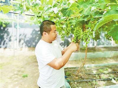 旅行百事通■5月21日·邢台要闻快报:10万张旅游优惠券免费发给市民;太阳19日戴“美瞳”,美照在邢台人的朋友圈刷屏