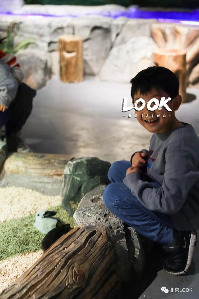 「玩乐足迹」北京首家室内动物园 · 和羊驼浣熊一起玩