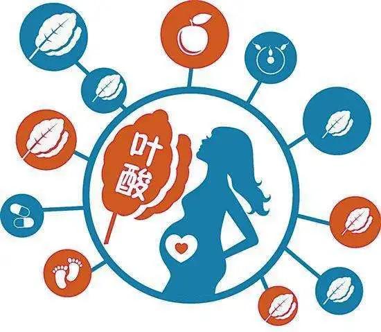 亲人族|「科普」会吃的妈妈，健康的宝宝——妊娠期的营养需要