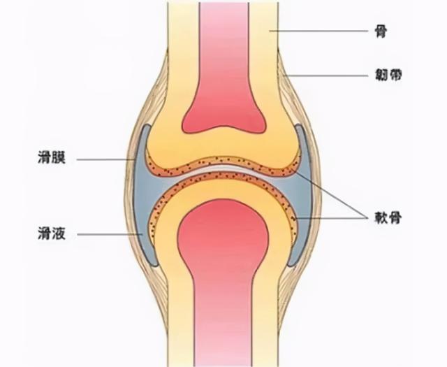 掰手指，会得关节炎？不，会得诺贝尔奖