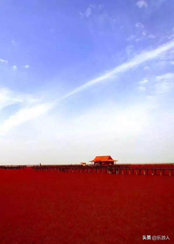 #行路万里#辽宁竟私藏了一片颜值超高的红海滩