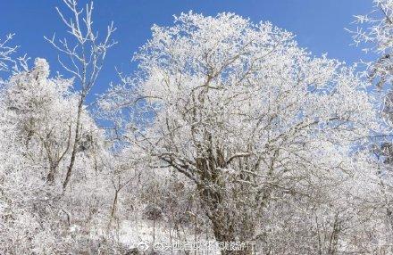 「光明网」一起看雪落神河源，感受最纯粹的美